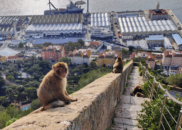 reflectandlearn KW 7: Die Affentreppe von Gibraltar