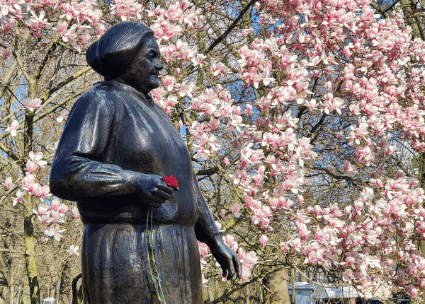 Meine Ziele im Frühjahr 2024: Statue von Clara Zetkin vor Magnolien-Blüten