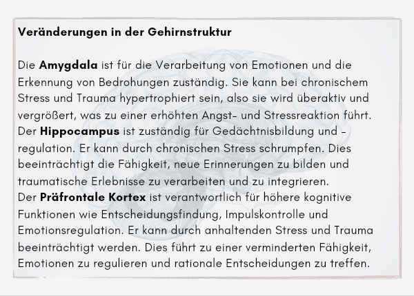 Window of Tolerance - Neurobiologische Veränderungen: Veränderungen in der Gehirnstruktur Die Amygdala ist für die Verarbeitung von Emotionen und die Erkennung von Bedrohungen zuständig. Sie kann bei chronischem Stress und Trauma hypertrophiert sein, also sie wird überaktiv und vergrößert, was zu einer erhöhten Angst- und Stressreaktion führt. Der Hippocampus ist zuständig für Gedächtnisbildung und -regulation. Er kann durch chronischen Stress schrumpfen. Dies beeinträchtigt die Fähigkeit, neue Erinnerungen zu bilden und traumatische Erlebnisse zu verarbeiten und zu integrieren. Der Präfrontale Kortex ist verantwortlich für höhere kognitive Funktionen wie Entscheidungsfindung, Impulskontrolle und Emotionsregulation. Er kann durch anhaltenden Stress und Trauma beeinträchtigt werden. Dies führt zu einer verminderten Fähigkeit, Emotionen zu regulieren und rationale Entscheidungen zu treffen.