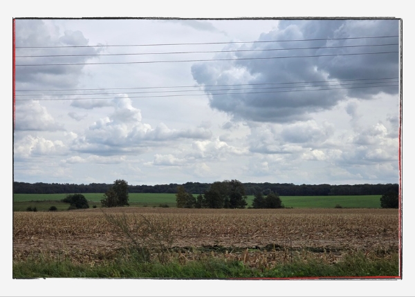 12 von 12 - September 2024: Herbststimmung über dem Feld